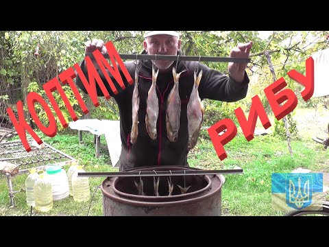 Видео: Риба холодного копчення # Домашня коптильня #РибачуЯкУмію