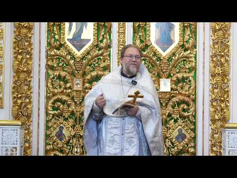 Видео: Философия скорбей. Ап.  Павел