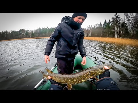 Видео: Поставили новый рекорд по окуню и щуки