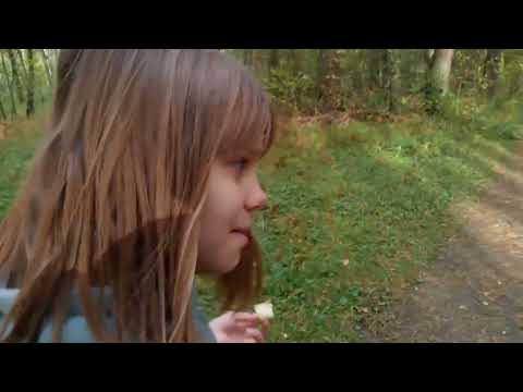 Видео: Лесная прогулка.