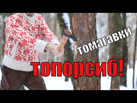 Видео: Обзор и тесты сибирских топоров-томагавков от ТОПОРСИБ