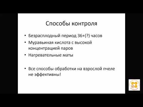 Видео: ПЧЁЛЫ КЛЕЩ Tropilaelaps ТРОПИЛАЭЛАПС