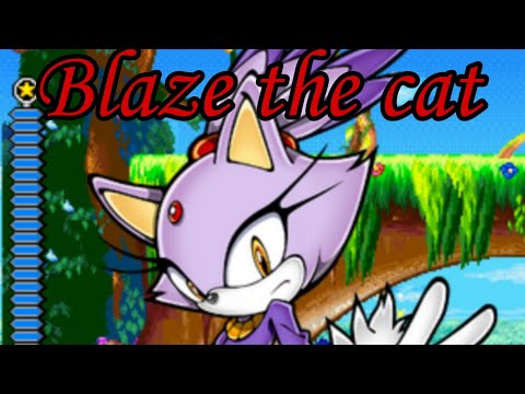 Видео: История кошки Блейз.