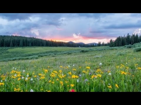 Видео: 🌷 🌷🌷Ароматы от AVON на ВЕСНУ-ЛЕТО   2025г.☀️🌞🌿                           #парфюмерия #парфюмыэйвон