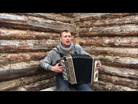 Видео: ♫ ДУШУ ВЫНИМАЕТ ГАРМОНИСТ ! ( Тяни - Толкай - Даль -Чужбинушка )