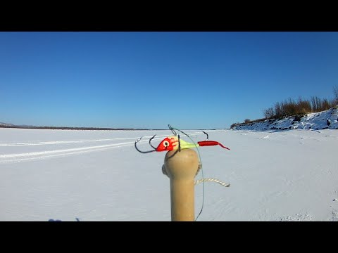 Видео: Рыбалка на Амуре.