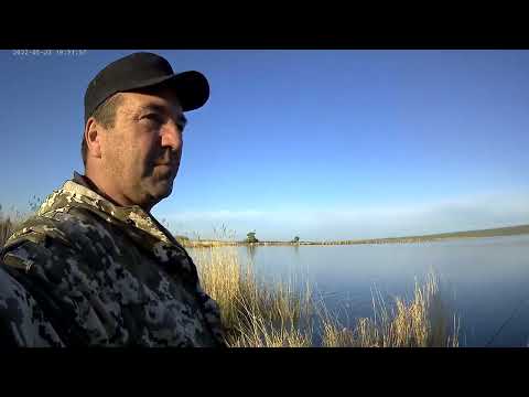 Видео: оз.Косоголь. Рыбалка на карася.