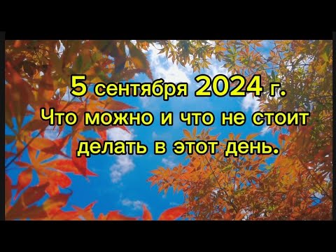 Видео: "5 сентября: Заговоры на удачу и приметы дня Лупа Брусничника"