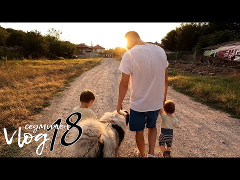 Видео: Едно семейство на село - Vlog 18 - Една незабравима седмица