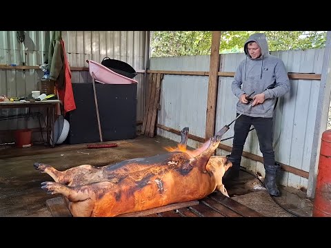 Видео: Перевернув Кабана і охр..‼️Колій калян смале,патрон чекає‼️