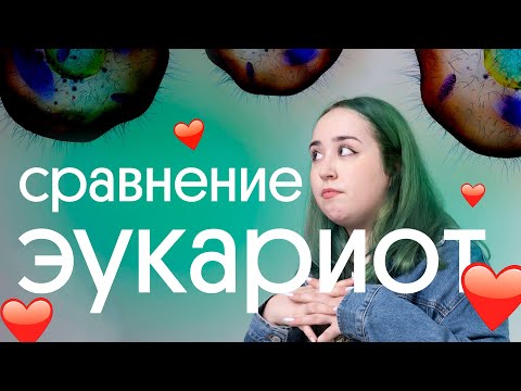 Видео: 😱 Я СРАВНИЛА ЭУКАРИОТЫ И ВОТ, ЧТО ПОЛУЧИЛОСЬ........... | биология 5 класс