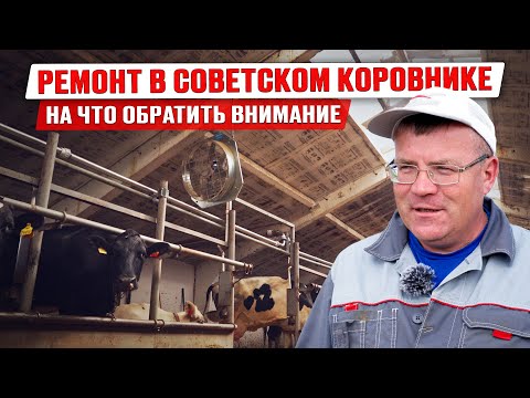 Видео: Переоборудование старого советского коровника | Обустройство коровника | Содержание КРС