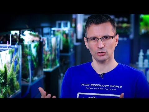 Видео: Как улучшить состояние аквариумных растений с помощью удобрений — мастер-класс по удобрениям