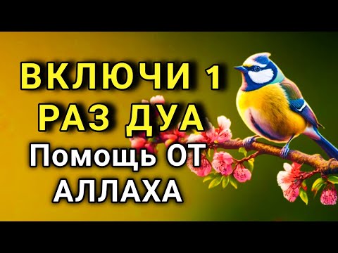 Видео: ☝️ Слушай ЭТУ дуа один раз и болезни исчезнут навсегда! ✨🔑💯🤲