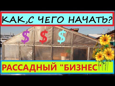 Видео: Как начать цветочно-овощной "БИЗНЕС" на Рассаде. Сколько нужно денег вложить для получения прибыли.