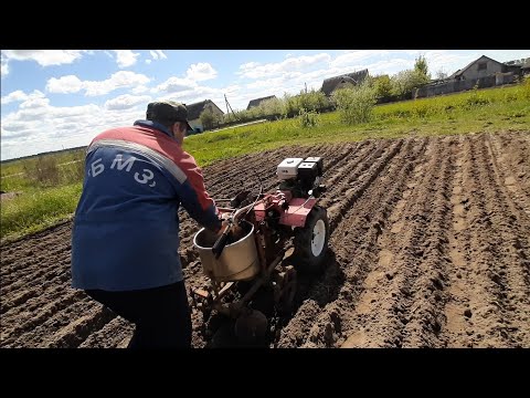 Видео: посадка бульбы!