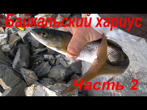 Видео: Отдых и рыбалка на хариуса на Байкале в бухте Орсо. часть 2