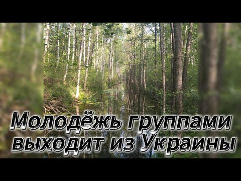 Видео: Молодёжь группами выходит в Беларусь