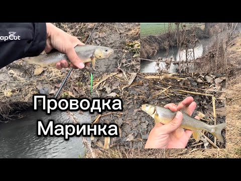 Видео: Проводка усулида Маринка овлаб курамиз