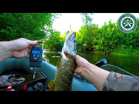 Видео: ВОТ ЭТО РЫБИНА НА ЛАЙТОВУЮ СНАСТЬ ! Ловля на поппер 2025