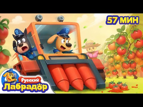 Видео: Машина-призрак на ферме | Безопасность в жизни | 🔍Популярный сборник мультиков | Шериф Лабрадор