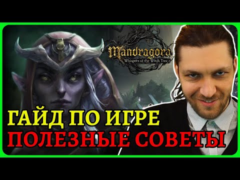 Видео: Cоветы новичку в Mandragora Whispers Of The Witch Tree