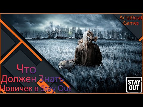 Видео: Что Должен Знать Новичок?Ветка,Оружие,Советы Stalker Online/Stay Out