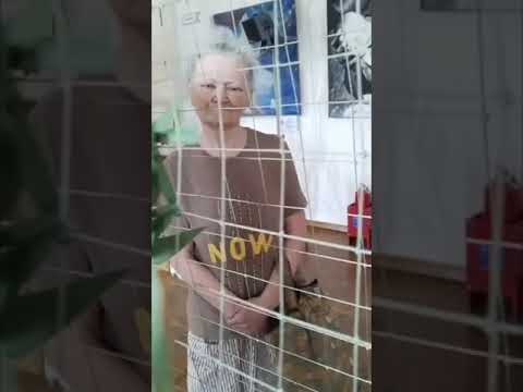 Видео: Плетение маскировочных сетей "Травка"