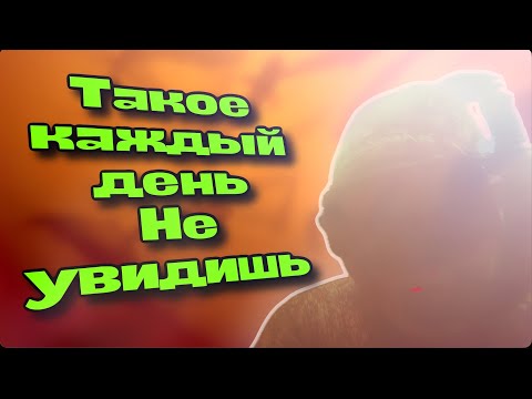 Видео: Подводная охота. Незабываемые кадры.