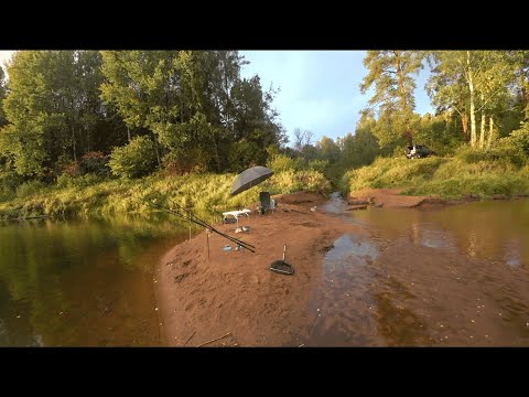 Видео: Рыбачу на новом месте. Красивая природа.