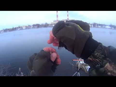 Видео: Фидерный монтаж с бисером