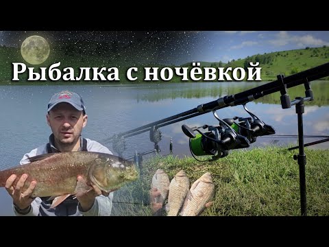 Видео: Рыбалка на карася и толстолобика 2025🎣 Ждал два дня этих поклевок! #рыбалка #fishing #carpfishing
