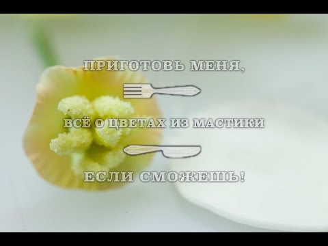 Видео: Всё о цветах из мастики