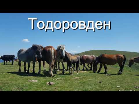 Видео: Тодоровден - Защо, кога и как?