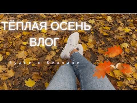 Видео: ВСЁ для ДОМА  и  РОЖДЕСТВА / H&M HOME/ ПОКУПКИ / ВКУСНО  🎃 как ВСЕГДА/ APPLE STORE  в БЕРЛИНЕ