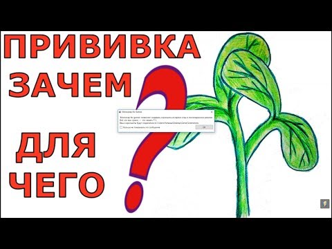 Видео: КАК ПРИВИВАТЬ ТЫКВЕННЫЕ? ЗАЧЕМ? ПОЧЕМУ?  ЦЕЛЬ???