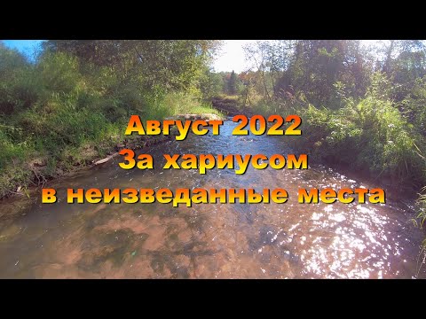 Видео: Август 2022. За хариусом в неизведанные места