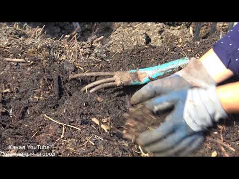 Видео: ЛУЧШИЙ КОМПОСТ! ГОТОВИМ САМИ БЫСТРО И ПРОСТО!