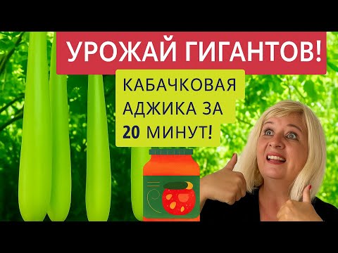 Видео: ИТАЛЬЯНСКИЕ КАБАЧКИ-ОТКРЫТИЕ ГОДА!!!❤️🎉Их хочется готовить!🥣ВКУСНАЯ КАБАЧКОВАЯ АДЖИКА ЗА 20 МИНУТ!⏰