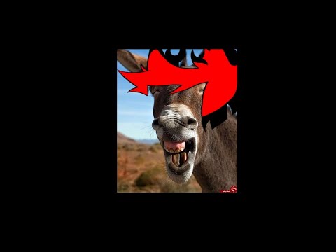 Видео: Озвучка комиксов #1