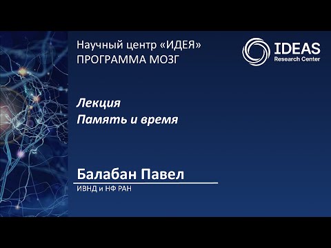 Видео: Лекция П.М. Балабана. Память и время