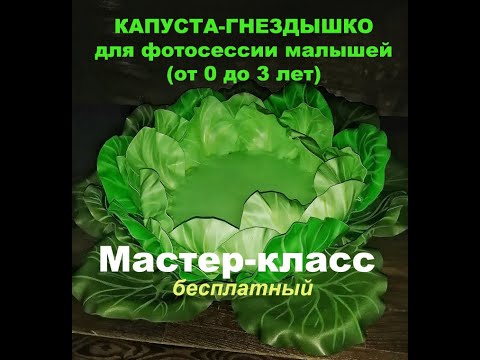 Видео: Капуста-гнездышко для фотосессии малышей с рождения до 3 лет. Бесплатный мастер-класс.  DIY cabbage