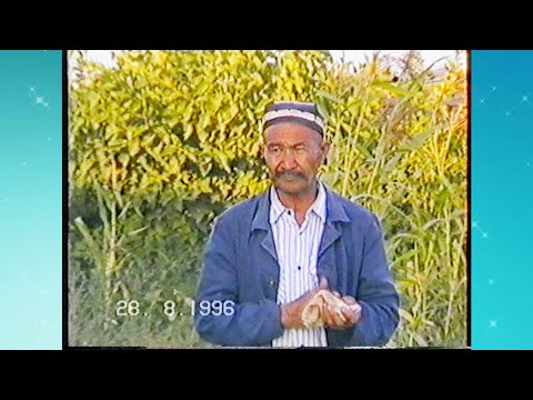 Видео: АРХИВ 28 08 1998 РЕТРО ТЎЙЛАРИМИЗДАН №3 ҚЎШКЎПИР ҚАТАГАН ҚИШЛОҚИ