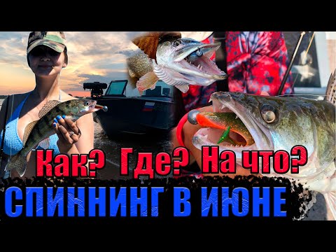 Видео: Как ловить БОЛЬШЕ? Рыбалка с лодки на Оке и Волге | Спиннинг в июне
