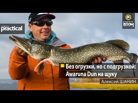 Видео: Без огрузки, но с подгрузкой: Awaruna Dun на щуку. Алексей Шанин. Anglers Practical