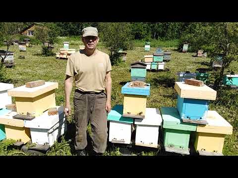 Видео: Противороевые методы.