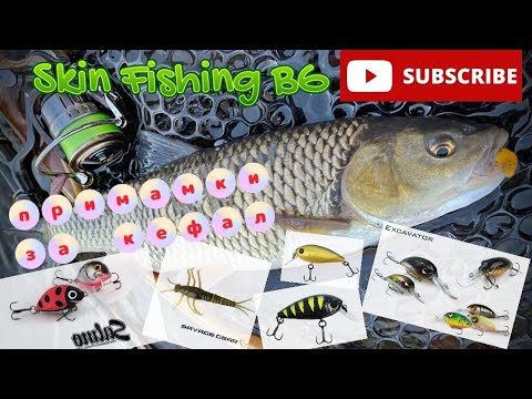 Видео: НАЙ УСПЕШНИТЕ МИ ПРИМАМКИ ЗА КЕФАЛ