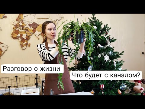 Видео: ЭПИФИЛЛУМ АНГУЛИГЕР | Пересадка, разговоры о ситуации в жизни