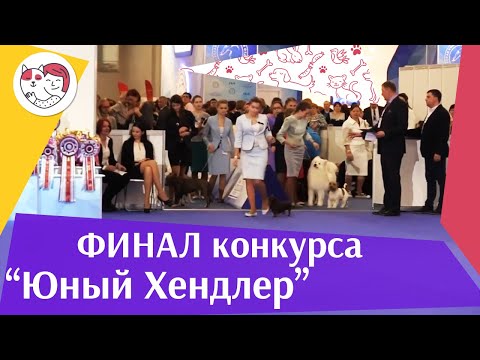 Видео: Финал конкурса юного хендлера 19 03 17 на Евразии ilikepet