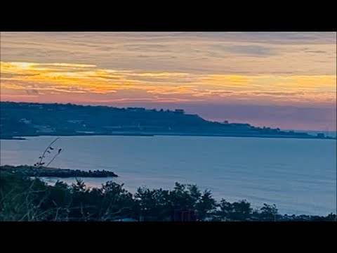 Видео: Рассвет для друзей с Forest🌲Qigong